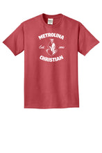 Load image into Gallery viewer, Port & Company Adult Beach Wash Garment-Dyed Tee